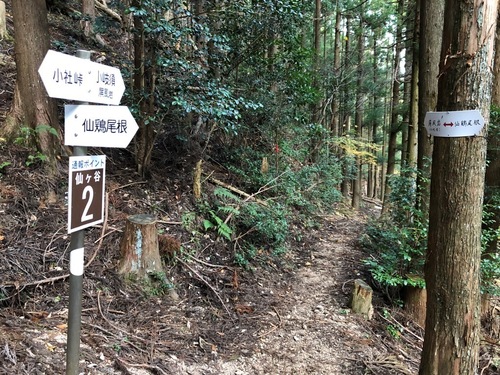 12帰路仙ヶ谷の道筋で.jpeg