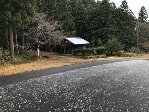 14駐車場に戻ってきた.jpeg