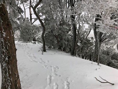 4倉部山へ.jpeg