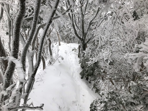 6いよいよ雪が深く.jpeg