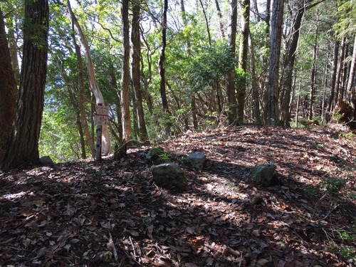ヒバンダーラ山頂と三角点.jpg