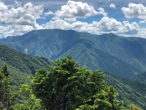 七曜岳から弥山を望む。左肩に八経ヶ岳、右に頂仙岳、手前に鉄山。.jpg