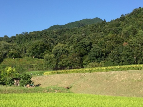 上御茶屋を振り返る(遠景に比叡山).jpg