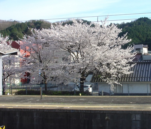 但馬のある駅にて.JPG