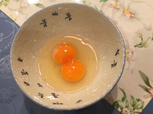 双子の卵.JPG