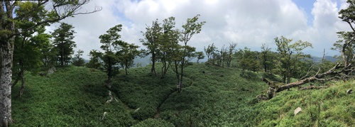 古田ノ森から稜線を振り返る.jpg