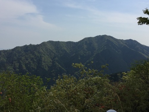 堀坂山を望む(観音岳の稜線から).jpg