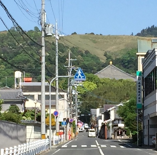 大仏殿の横顔遠望.jpg
