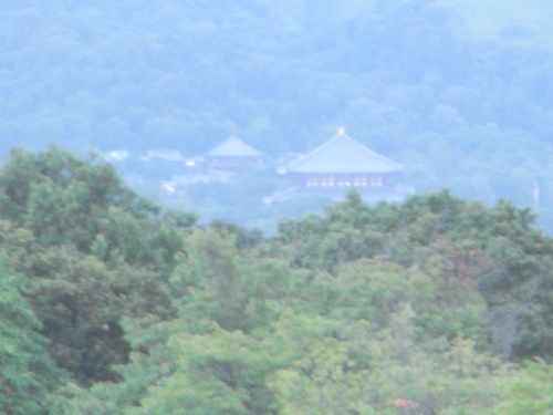 大仏殿二月堂遠望.JPG