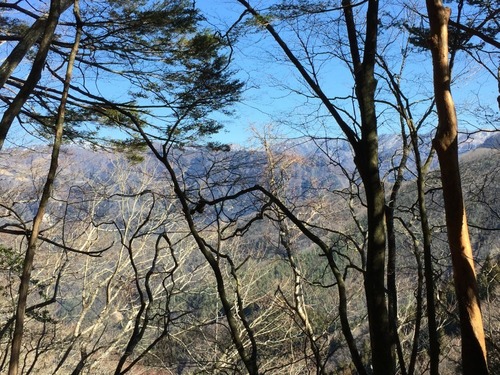 大峰山系を望む.jpg