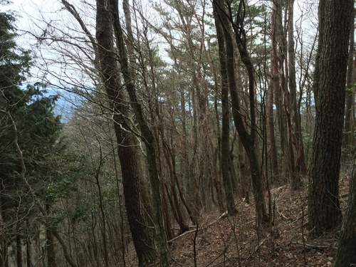 天狗岳山頂にて.JPG