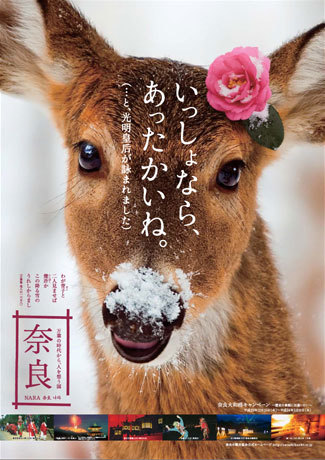 奈良シカポスター.jpg