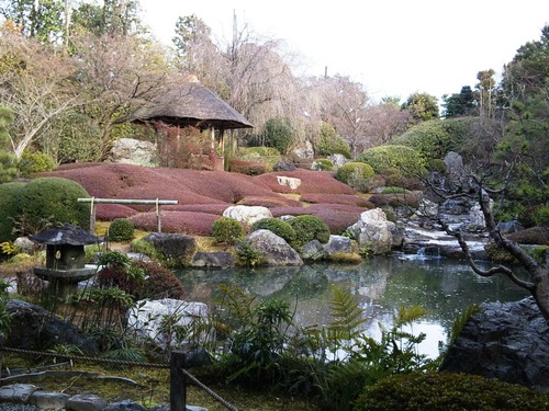 妙心寺退蔵院余香苑の冬景色.jpg