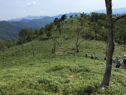 展望の稜線を下る(左上に台形の山容が特徴的な南奥駈の笠捨山が見える).jpg