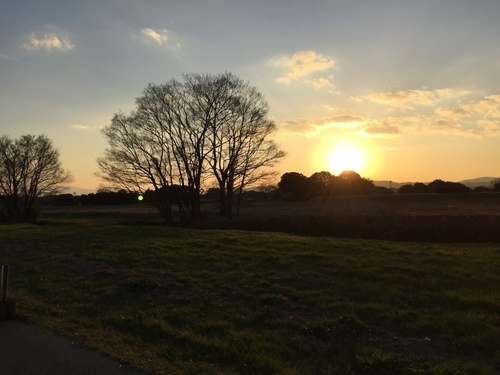 平城宮跡の元日の夕陽.jpeg
