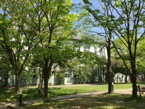 新緑の奈良女子大学構内.jpg
