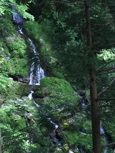 明神滝(帰路).jpg