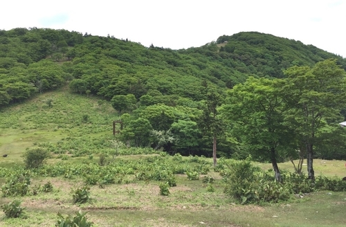 明神平から三ツ塚・前山方面を見る(リフトの残骸も見える).jpg