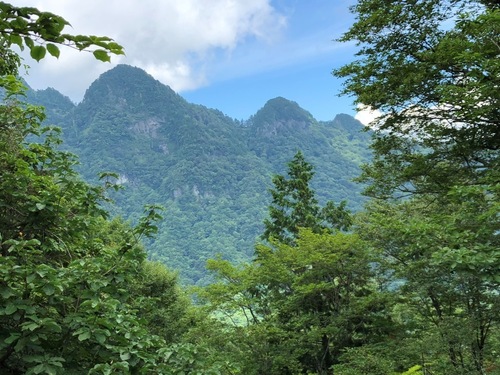 木の間越しに大普賢・小普賢・日本岳.jpg