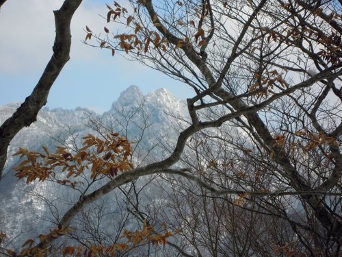 法力峠に下る道からの大日山と稲村ヶ岳.jpg