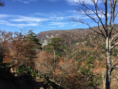 牛石ヶ原を望む.jpg