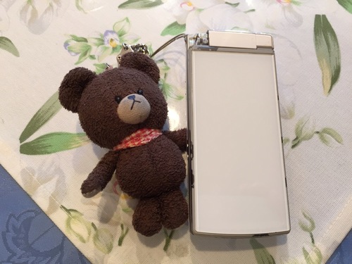 現役を引退したSH001とクマの学校のストラップ (1).jpg