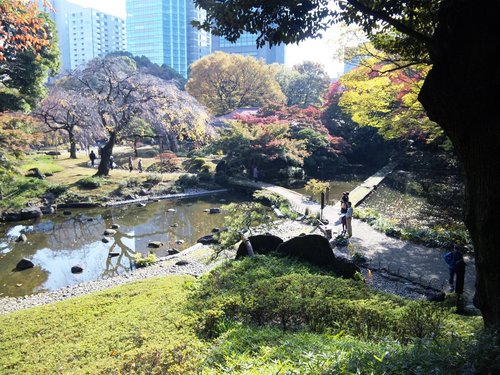 秋の小石川後楽園.jpg