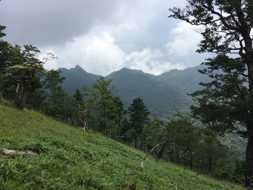 稜線に出て大日岳の出迎えを受ける.jpg