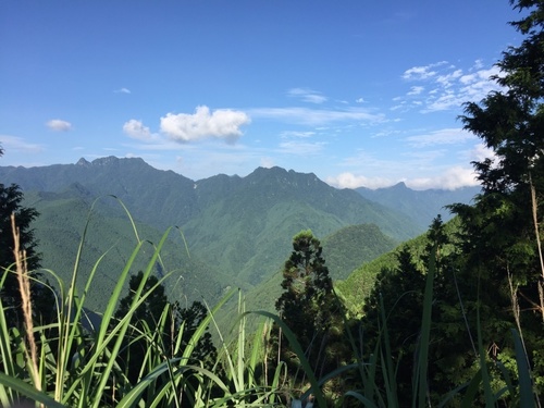 稲村ヶ岳・バリゴヤの頭・行者還岳(復路林道終点).jpg