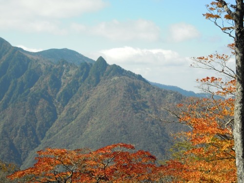 行者還岳方面から見た鉄山(2012年秋).JPG