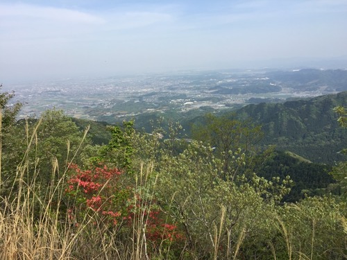観音岳から伊勢平野を望む.jpg