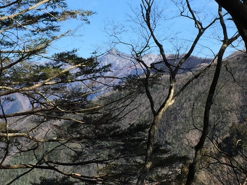 釈迦ヶ岳を遠望する.jpg