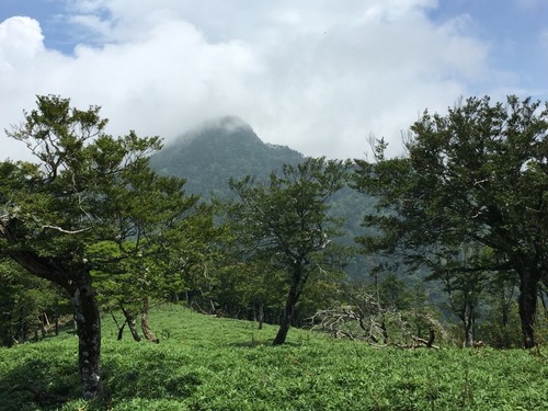 釈迦ヶ岳(古田ノ森から。時折ガスがかかる).jpg