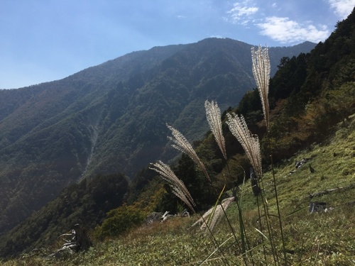 鉄山直下の別天地から弥山を望む.jpg