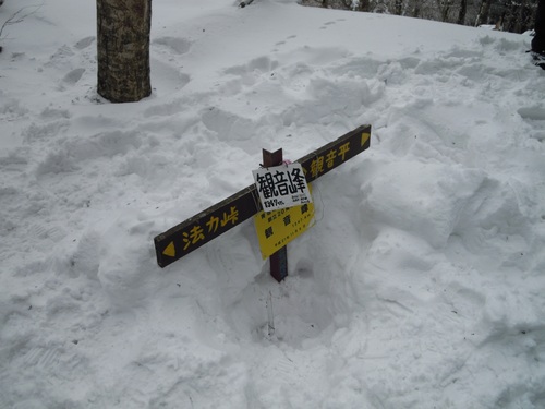 雪に埋もれた観音峰の山頂の道標.jpg