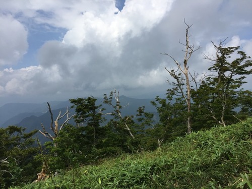 青空が見え始める(古田ノ森への登りで).jpg
