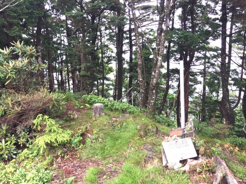 頂仙岳の山頂.jpg