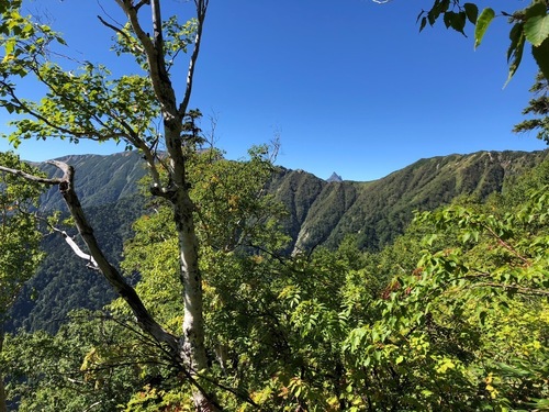 3稜線上に初めて顔を出す槍ヶ岳.jpeg