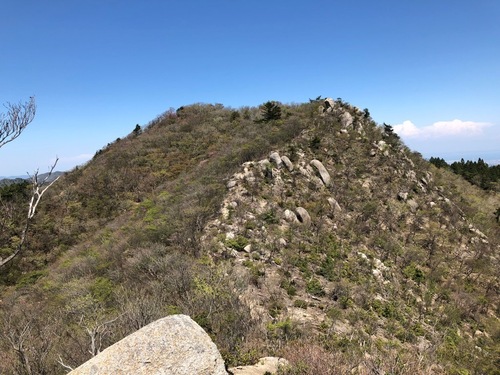 7P1から仙ヶ岳東峰を見る.jpeg